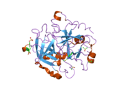 PDB 1wbg EBI.png