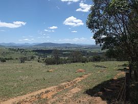 Padang di Allandale, Queensland.jpg