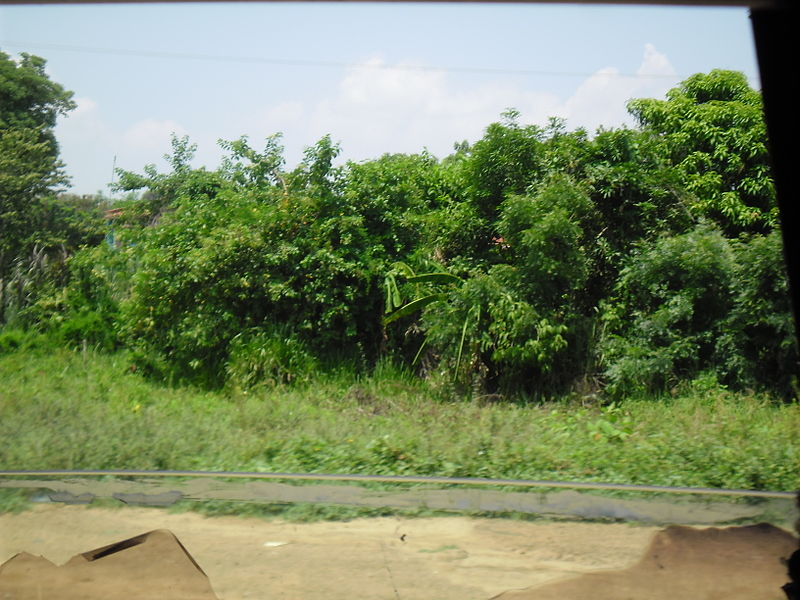 File:Paisaje de la Carretera Lara-Zulia.JPG