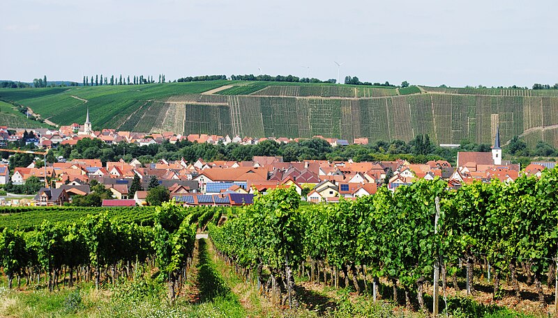 File:Panorama, Nordheim, Escherndorf.JPG