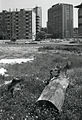 A área do parque como apareceu em 1973 em uma foto de Paolo Monti