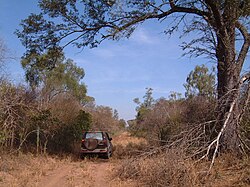 ParaguayChacoBorealdryseason.JPG