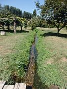 Italiano: Parco delle cave, Milano. Ruscello.