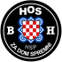 Patch of the Croatian Defence Forces in BiH.svg