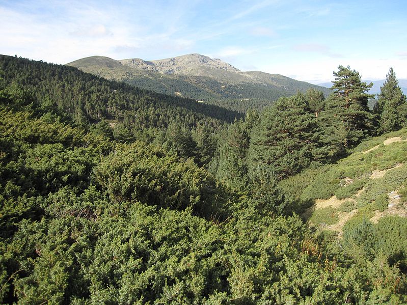 File:Peñalara desde Cerradillas.jpg