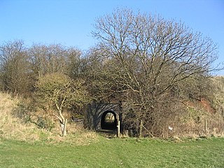 Loughborough Meadows