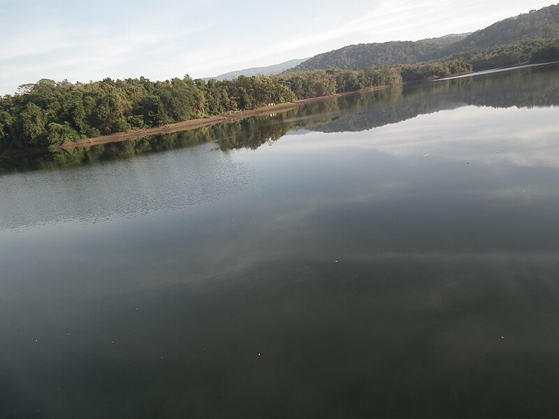 File:Peechi Dam area - Dec 2011 0267.JPG