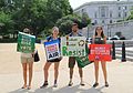 People's Climate March 2017 in Washington DC