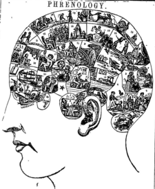 Phrenology chart published in Latter Day Saint newspaper The Prophet on January 15, 1845 Phrenology Chart published in The Prophet 25 Jan 1845.PNG