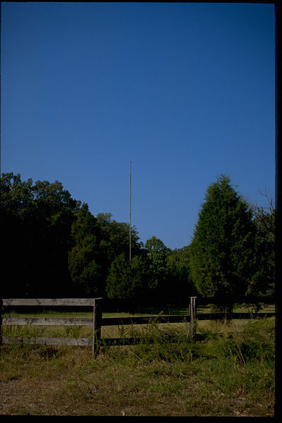 File:Prince William Forest Park PRWI9785.jpg