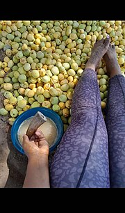 Thumbnail for File:Processing of Marura beer (Traditional drink).jpg