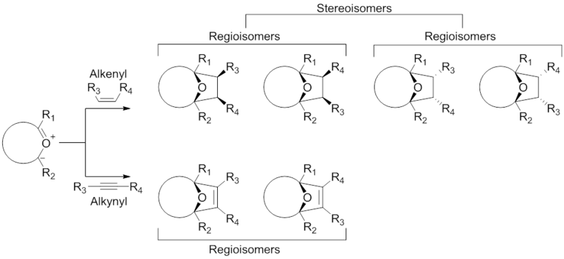 File:Products of the 1,3-Dipolar Cycloaddition Reaction Between Carbonyl Ylide Dipoles and Alkenyl or Alkynyl Dipolarophiles. Modified from M. Hodgson, D.; H. Labande, A.; Muthusamy, S. In Organic Reactions; John Wiley & Sons, Inc. 2004..png