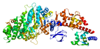 Thumbnail for Unconventional myosin-Va