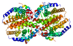 Thumbnail for Constitutive androstane receptor