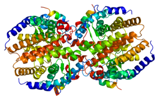 Constitutive androstane receptor Protein-coding gene in humans