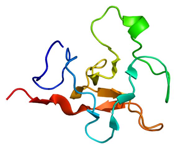 File Protein Plg Pdb 1b2i Png Wikimedia Commons