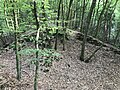 Querschnitt (Graben) durch den Bergsporn aus Sicht des Burgplatzes