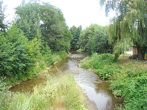 Râul Galbena