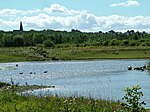 Rainton Meadows