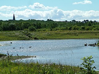 <span class="mw-page-title-main">Rainton Meadows</span>