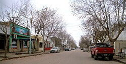 Departamento Realicó: Departamento de la provincia de La Pampa, Argentina