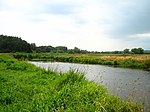 Recknitz-bei-Dudendorf-21-08-2008-194.JPG