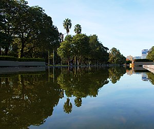 Reflexo na água no Parque Farroupilha em Porto Alegre.jpg