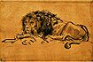 Kaplöwe (Panthera leo melanochaitus), Zeichnung von Rembrandt