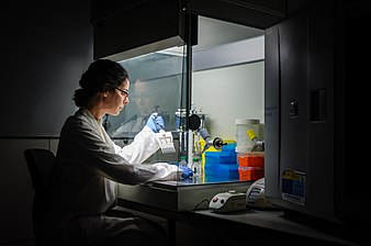 Researcher at work in her laboratory.jpg