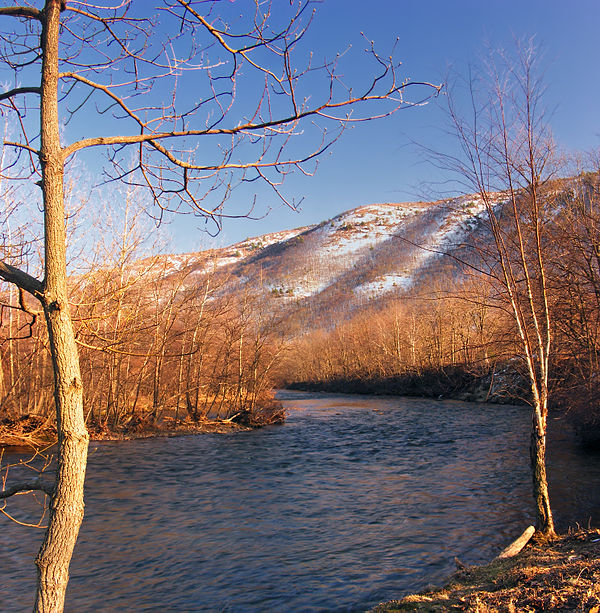The Lehigh River flowing through Riverview Park in Palmerton in March 2010