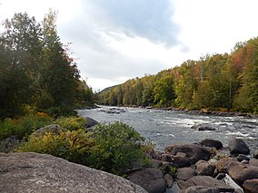 Rivière Ouareau, parc régional de la Forêt-Ouareau 03.jpg