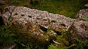 Rock art at Ballyedmonduff wedge tomb