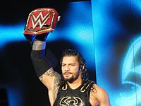 The current title holder Roman Reigns.