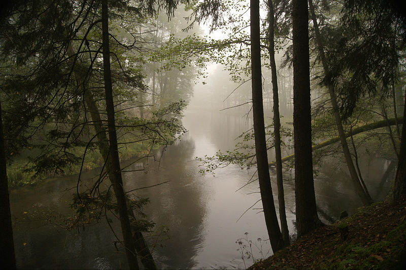 File:Rzeka Wda, Wdecki Park Krajobrazowy.jpg