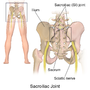 Thumbnail for Sacroiliac joint