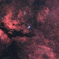 Amateur image of Sadr (center star) surrounded by IC 1318.