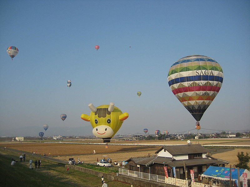 File:Saga balloon fiesta sky view 2009 3.jpg