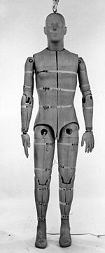 Crash test dummy - Wikipedia