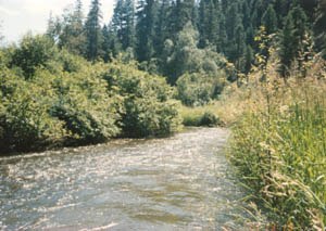 Ferry County, Washington