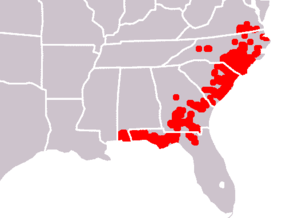 Descrição da imagem Sarracenia flava range.png.