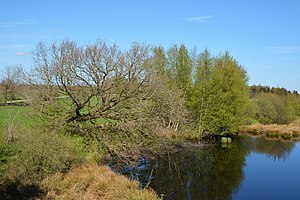 Schleswig-Holstein, Kreis Rendsburg-Eckernförde, Wildes Moor NIK 1454.jpg