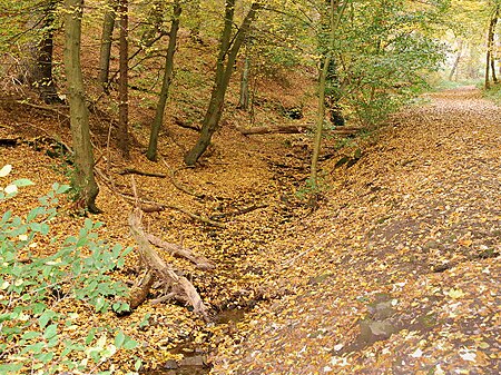 SchnodderbachHerdeckeWetterHerbstlaub