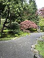 Seattle Japanese Garden