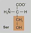 Serina: Ocorrencia e biosíntese, Produción, Degradación