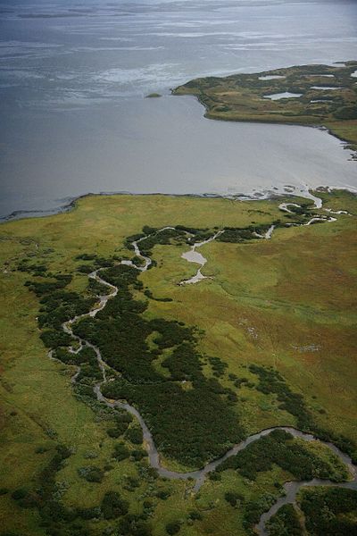 File:Shoreline waters and landmass.jpg