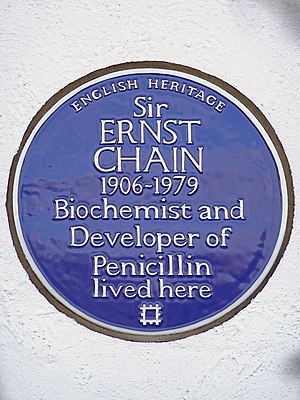 Sir ERNST CHAIN 1906-1979 Biochemist and Developer of Penicillin lived here.jpg