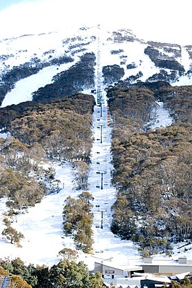 SkiThredbo2008.jpg