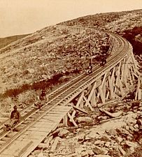 Sliding, Mt. Washington Railway.jpg