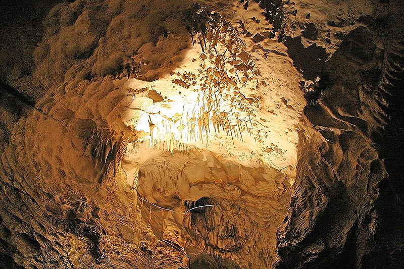 File:Sloupskosošůvské jeskyně32.jpg