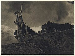 Annie Brigman, Soul of the Blasted Pine, 1908